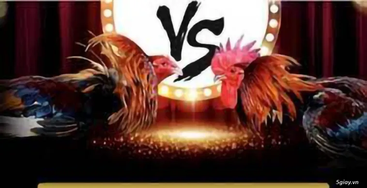 Hướng Dẫn Cách Chơi Đá Gà WS168 Tại BJ88 Chuẩn Xác Nhất 2 Hướng Dẫn Cách Chơi Đá Gà WS168 Tại BJ88 Chuẩn Xác Nhất