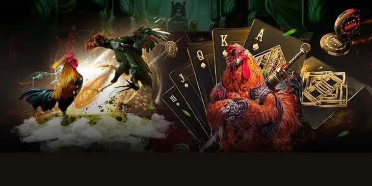 Hướng Dẫn Cách Chơi Đá Gà 3D Tại BJ88 Hấp Dẫn, Chuẩn Xác Nhất 2 Hướng Dẫn Cách Chơi Đá Gà 3D Tại BJ88 Hấp Dẫn, Chuẩn Xác Nhất