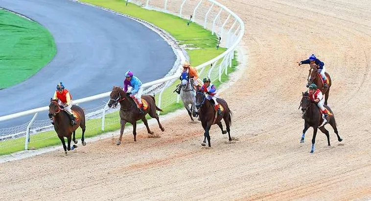 Tìm Hiểu Cá Cược Đua Ngựa BJ88 Với Trải Nghiệm Thú Vị Nhất 2 Tìm Hiểu Cá Cược Đua Ngựa BJ88 Với Trải Nghiệm Thú Vị Nhất